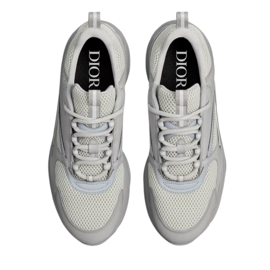 Dior B22 - Grey
